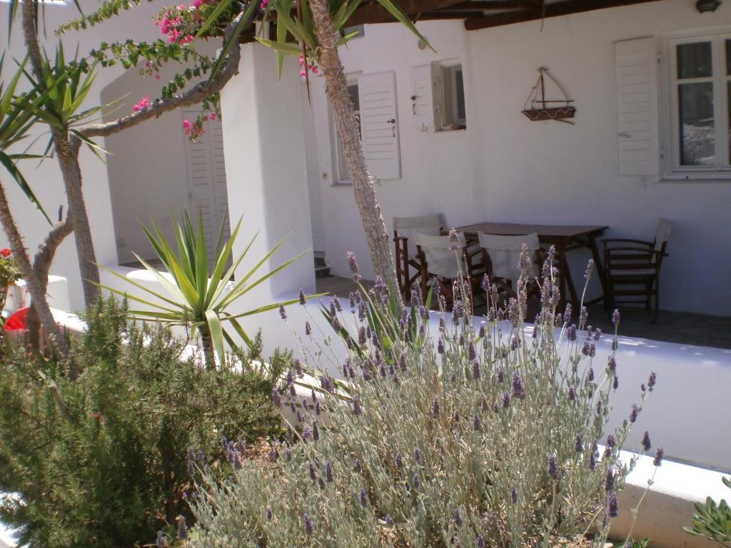 Paros Rita Studios Πίσω Λιβάδι Εξωτερικό φωτογραφία